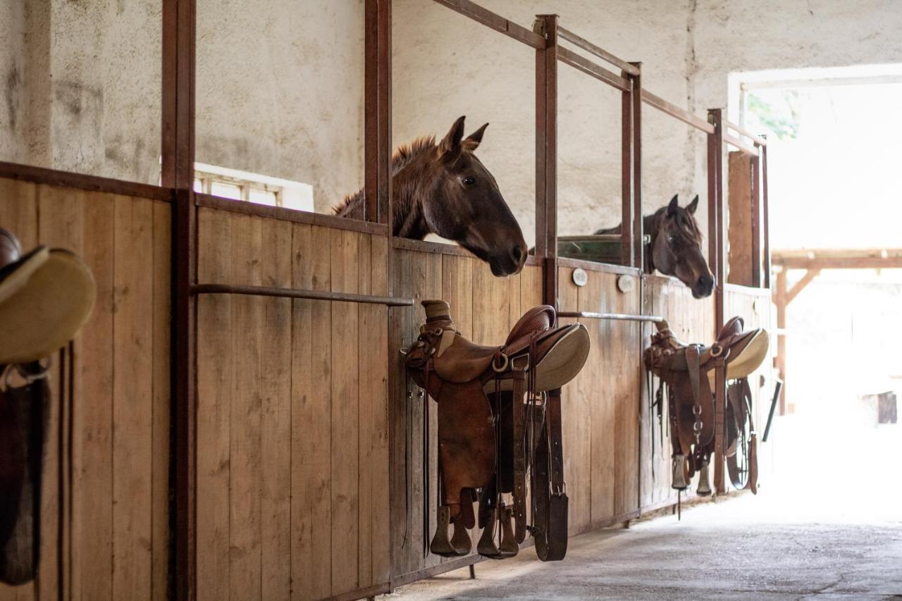 Ranc Cerveny Mlyn Villa Lisov  Dış mekan fotoğraf